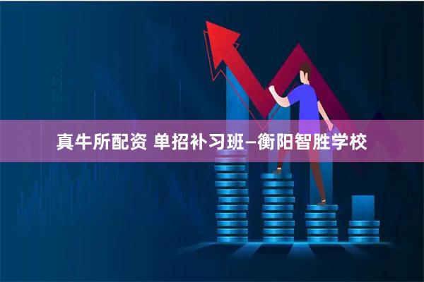 真牛所配资 单招补习班—衡阳智胜学校