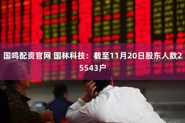 国鸣配资官网 国林科技：截至11月20日股东人数25543户