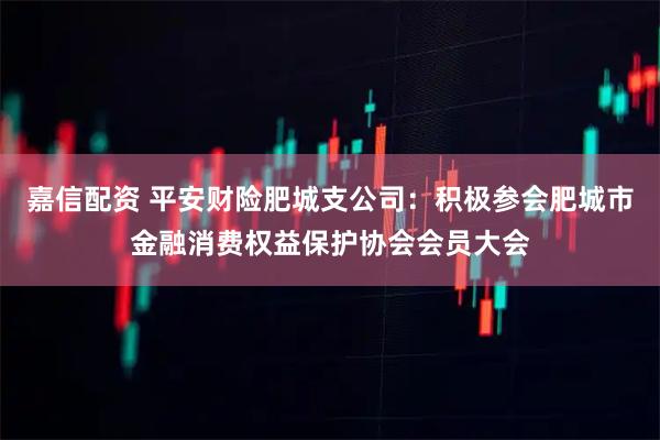嘉信配资 平安财险肥城支公司：积极参会肥城市金融消费权益保护协会会员大会